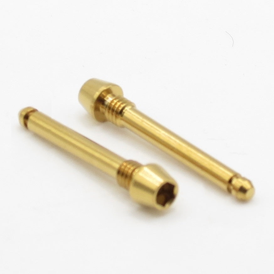 SRAM Maven Ultimate, Silver & Bronze Compatible Titanium Brake Pad Retaining Pin – Easybikeparts Pack of 2