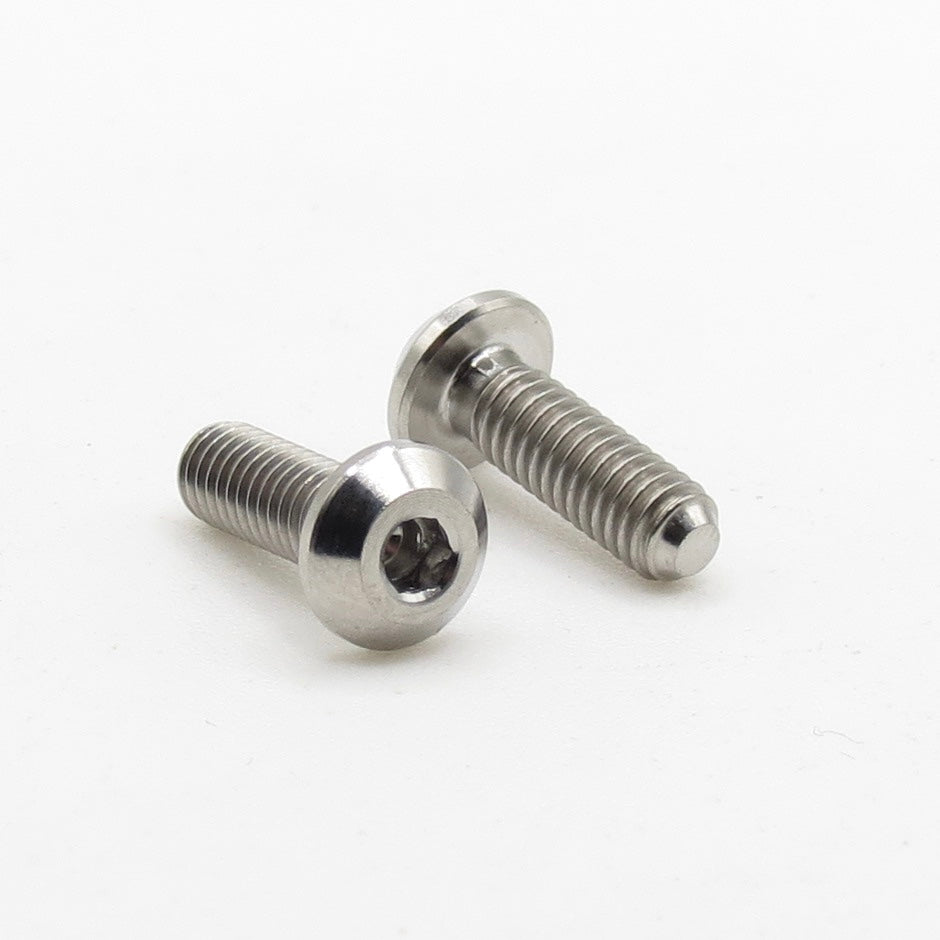 Easybikeparts M4x12mm Bolts for Santa Cruz Bikes Mudguard and Dustguards