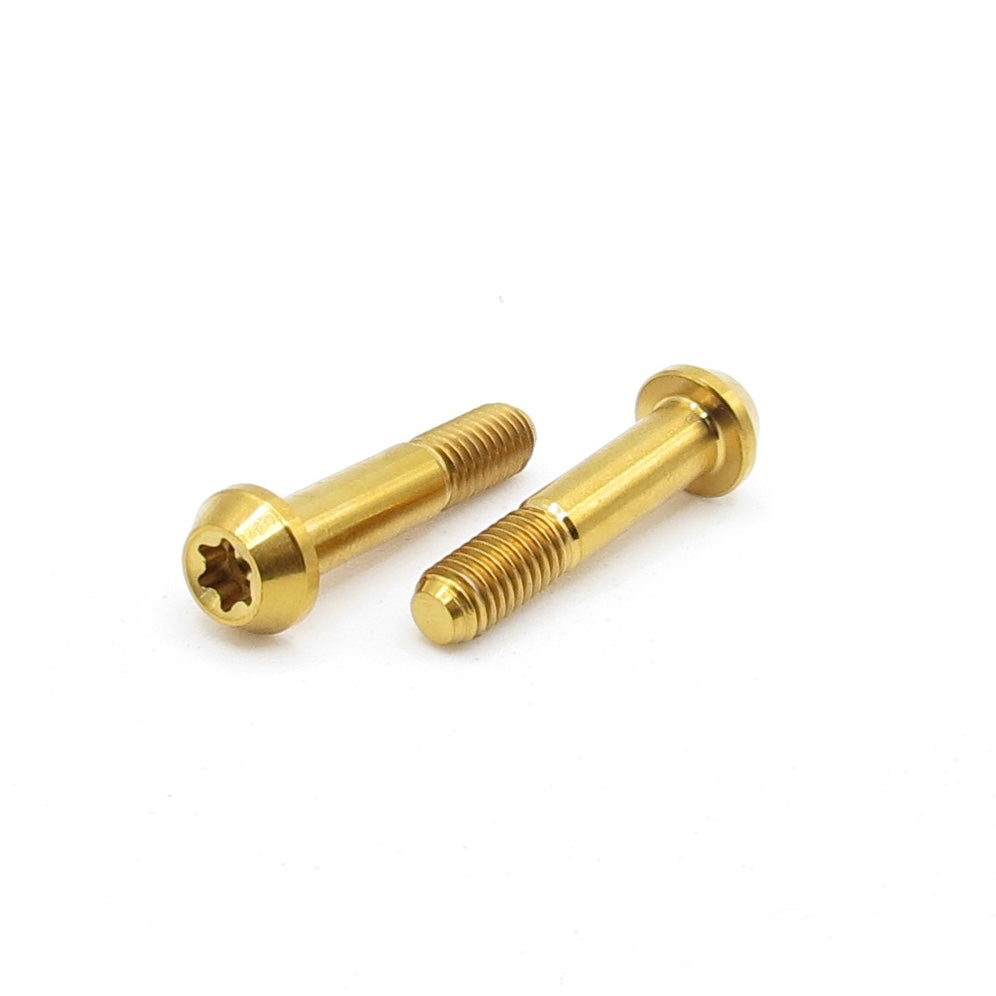 Easybikeparts SRAM Brake Lever Clamp Bolt – Titanium M5x25mm